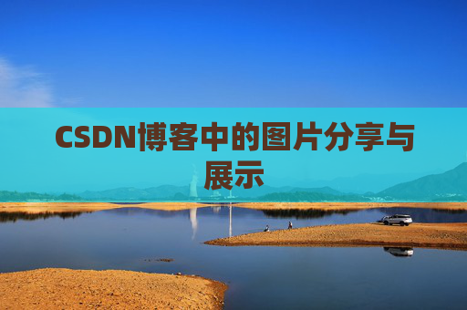 CSDN博客中的图片分享与展示